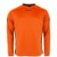 Afbeeldingen van Drive Match Shirt LS  